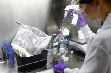 Trasplantes fecales para tratar enfermedades