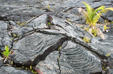 Un nuevo comienzo en las faldas del volcán Kilauea