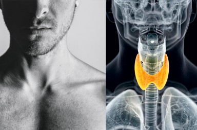 Las enfermedades del tiroides aumentan: los expertos apuntan a los plásticos