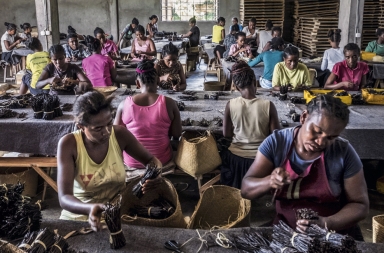 La demanda de vainilla ha disparado su precio y se ha convertido en un problema global