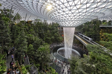 En Singapur puedes esperar tu avión en la selva