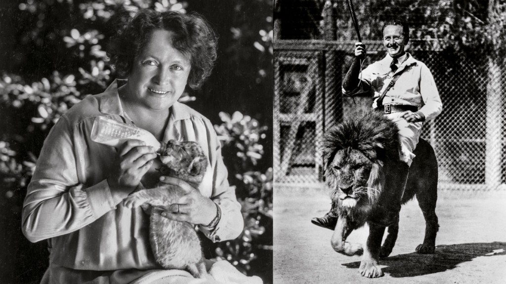 La granja de los leones de Hollywood