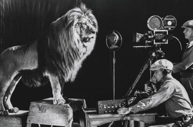 Los leones que conquistaron Hollywood en la primera mitad del siglo XX
