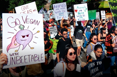 Revolución vegana: el activismo social en torno a la comida