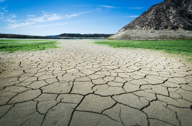 ¿Cuál es la mejor manera de salvar el planeta?