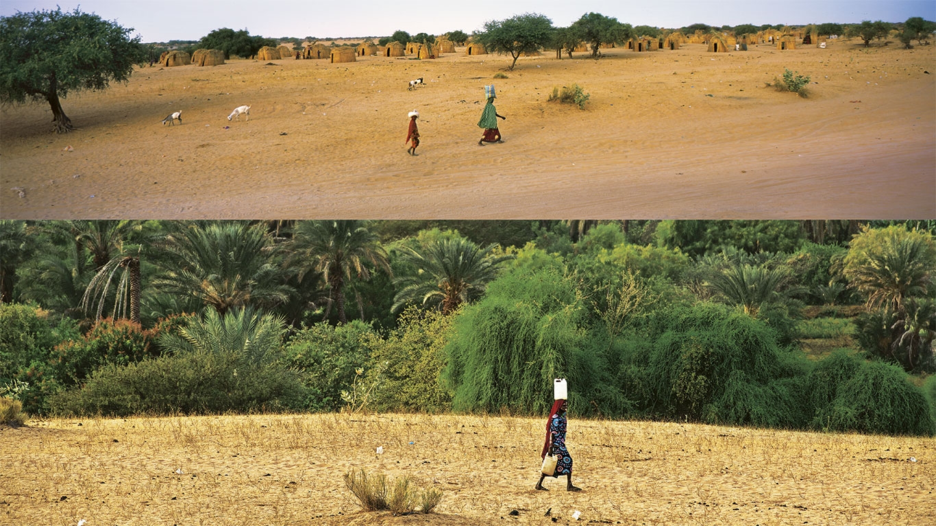 Un muro verde para frenar la desertizacion en África