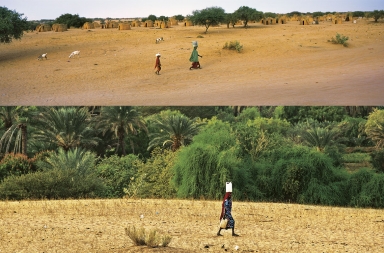 Un muro verde para frenar la desertizacion en África