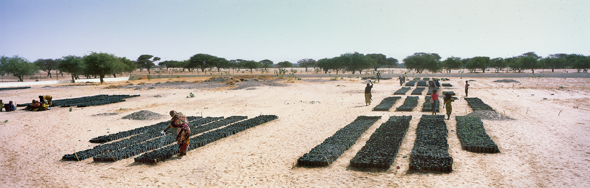 El muro de la salvación 2