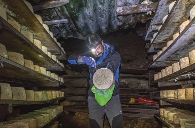 Los secretos del cabrales Teyedu: uno de los quesos más caros y mejores del mundo