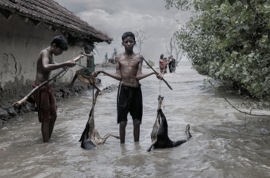 Los efectos del cambio climático: una marea asesina en el delta del Ganges