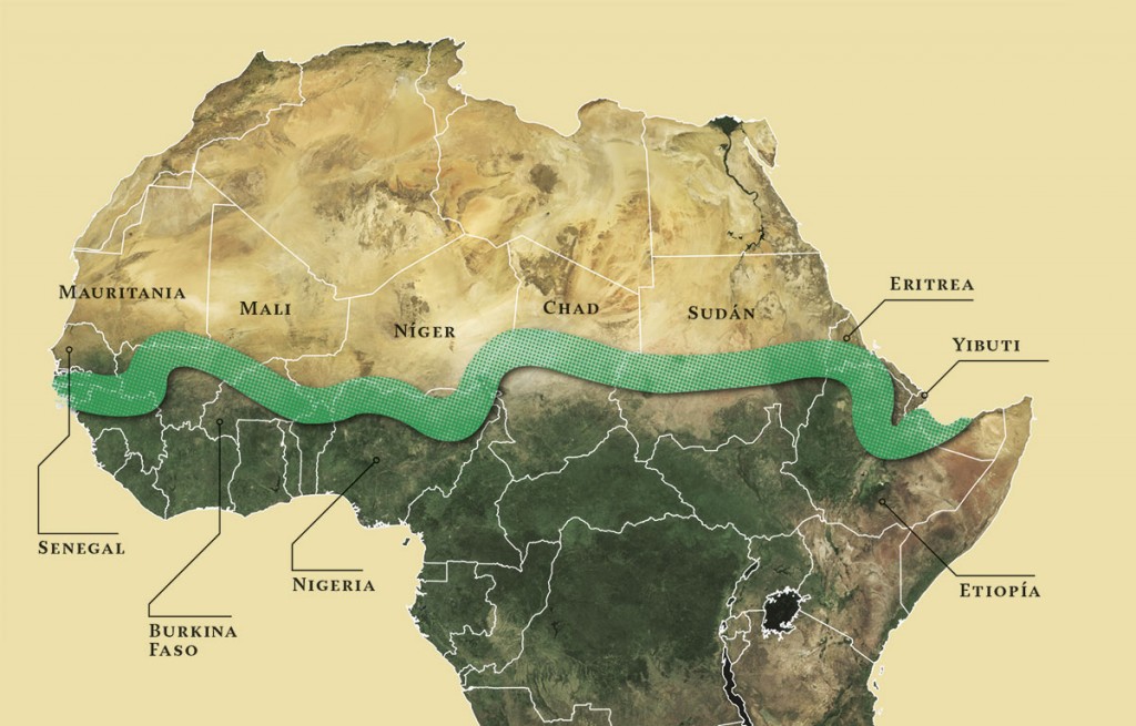 Un muro verde para frenar la desertizacion en África