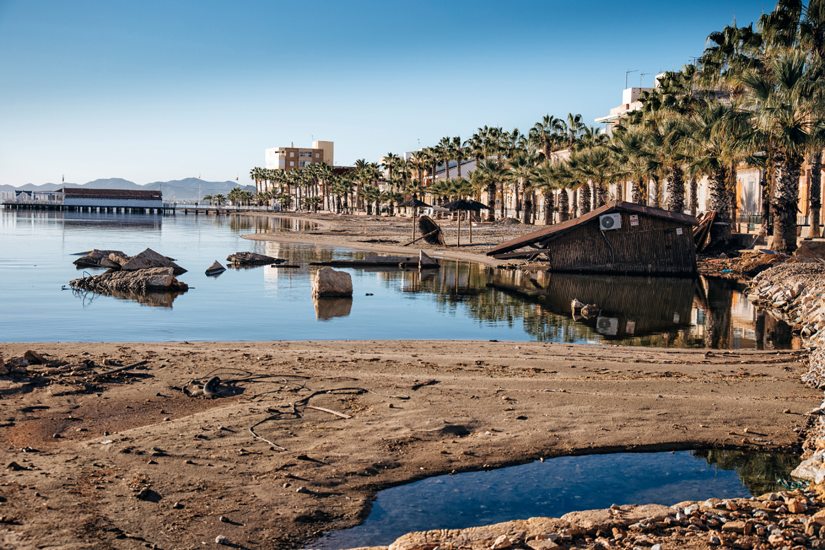 Mar menor, 'ecocidio' en la laguna 2