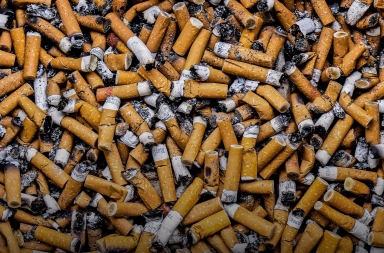 ¡Nos comemos las colillas!