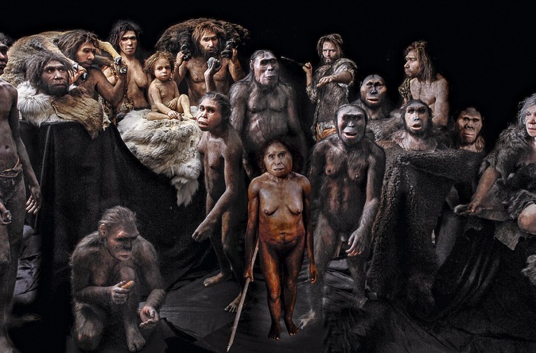 De Dónde Venimos Los Nuevos Parientes Del Homo Sapiens