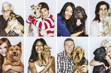 ¿Cuál es tu perro ideal?