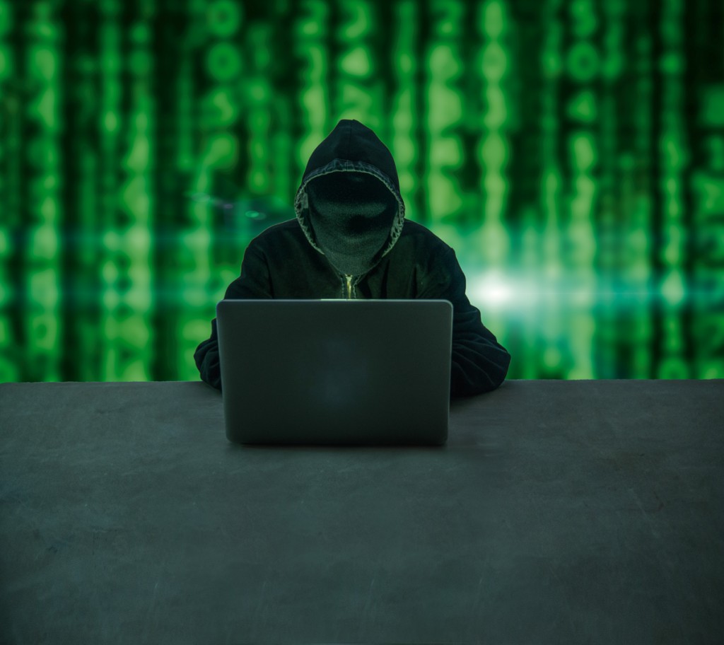 La mujer que piratea a los piratas 4