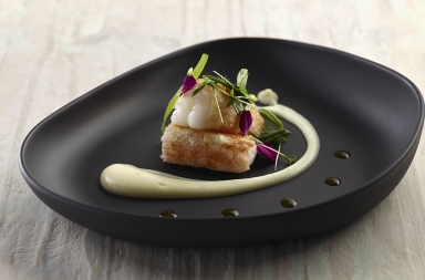 Cigala en pan con apionabo y brotes