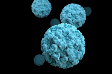 Vitamina D y otras cuatro medidas contra los ataques víricos