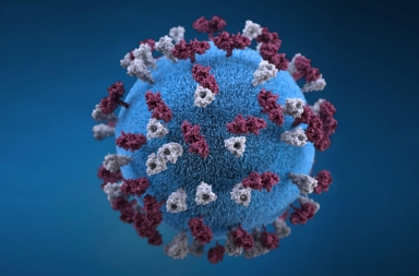El coronavirus no está vivo… ni muerto