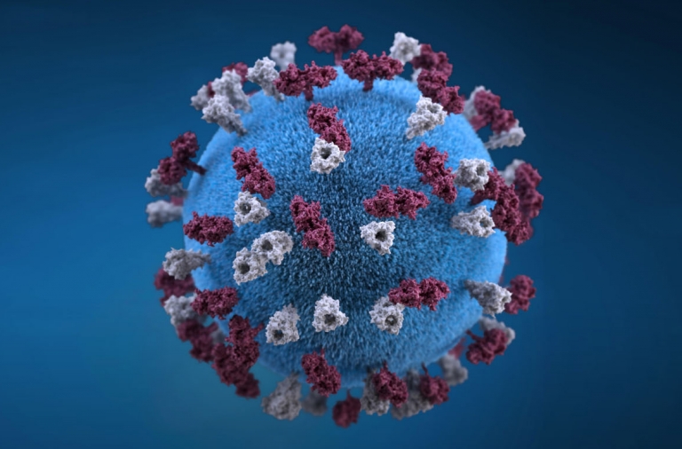 virus vivo