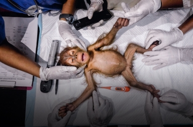 Salvar al orangután