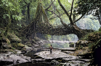 Tecnología sabía y milenaria