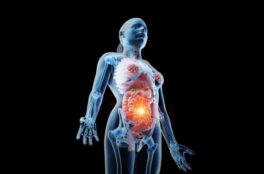 Un muro defensivo en el intestino