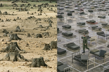 Coronavirus y cambio climático, la conexión mortal