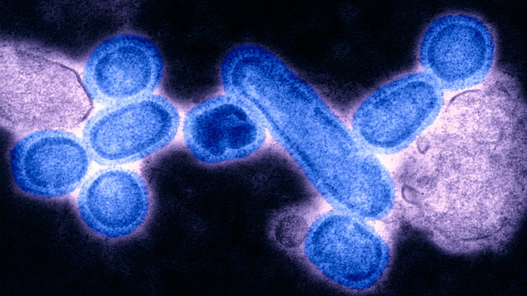 Gripe española: el virus resucitado