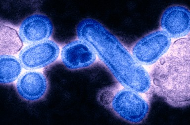 Gripe española: el virus resucitado