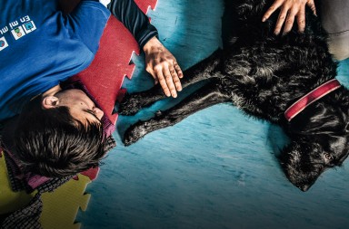 Coronavirus y niños con autismo: cuando un perro te toca el corazón