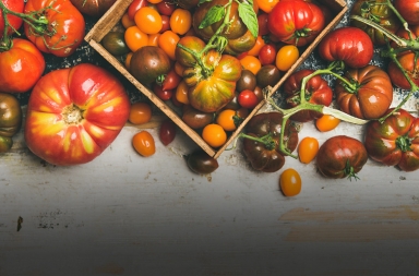 Tomates, ¿por qué ya no saben a nada?