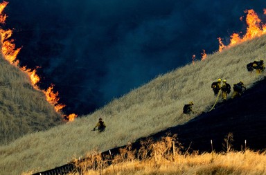 Una nueva alianza europea para una Recuperación Verde frente a las consecuencias del coronavirus