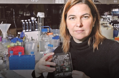 ¿Y si el coronavirus pudiera convertirse en una pila?