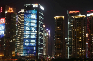 ¿Estamos provocando una extinción masiva?