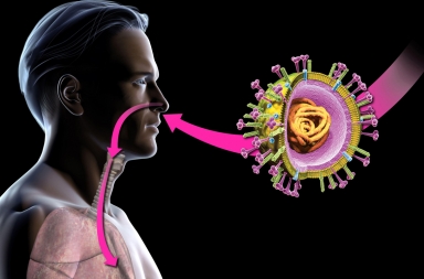 ¿Qué es un virus?