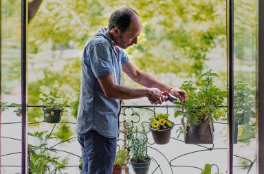 Un huerto en mi balcón: guía para novatos