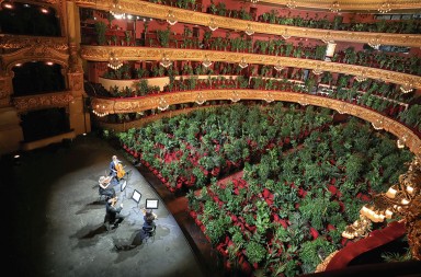 Concierto para vegetales en el Liceu de Barcelona