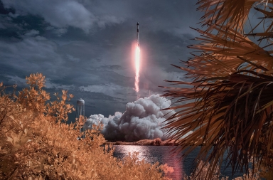 Sentirse espacial en la dieta vegana Sentirse espacial en la dieta vegana