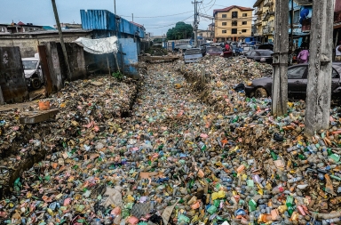 Despertar entre basura