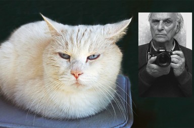 Carlos Saura retrata el porvenir tras la pandemia: el futuro es de los soñadores