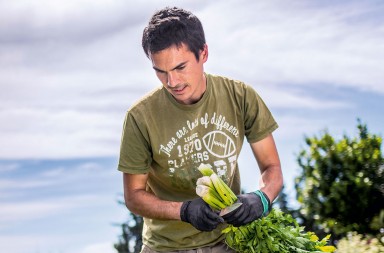 La fuerza de lo nuestro: pasión local