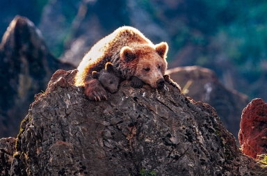 La fuerza de lo verde, el planeta nos da otra oportunidad