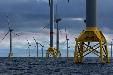 Frenar la destrucción del planeta, clave para la recuperación y evitar otros coronavirus