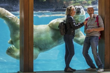 Confinamiento: buenos tiempos para el amor animal