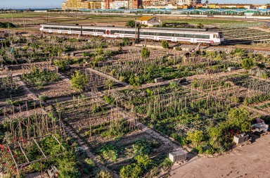 Huertos urbanos: un oasis en la ciudad