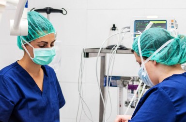 ‘Pan, circo, vida’, la carta de una lectora