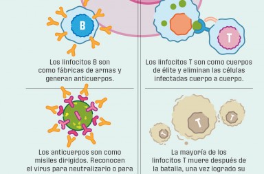 ELLAandÉL Desayuno de domingo con  Javier Gurruchaga «La obra ‘Pluto’ habla de todos los ‘emos’ que suenan hoy. podemos, queremos, robemos»
