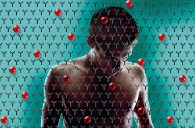 Coronavirus: ¿cuánto tiempo funcionan los anticuerpos?