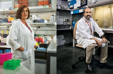 Los científicos han encontrado un inesperado aliado contra el coronavirus: el resfriado